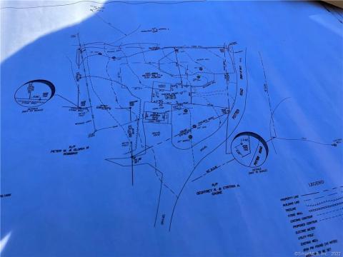 BLUE PRINTS BLUE PRINTS