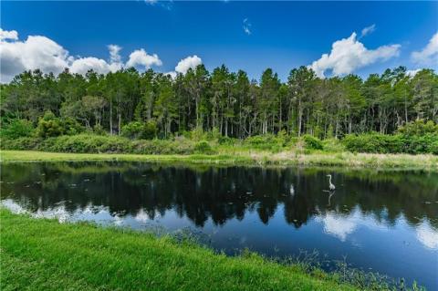 Prime lot within the community with large backyard