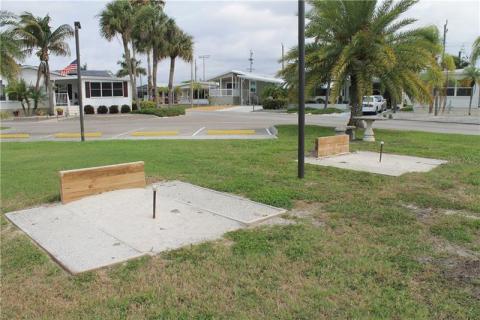 Horse Shoes anyone? Horse Shoes anyone?