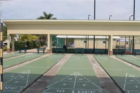 Shuffle Board! Shuffle Board!