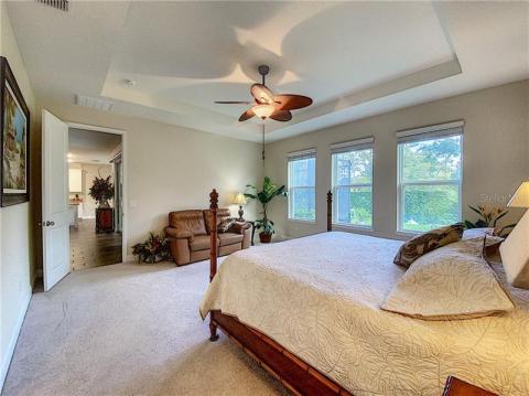 Master suite with tray ceilings and greenery views