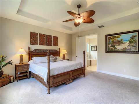 Master suite with luxurious bathroom