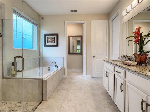 Luxurious master bathroom