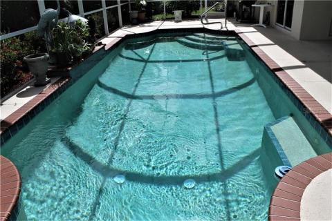 Incredible salt water pool