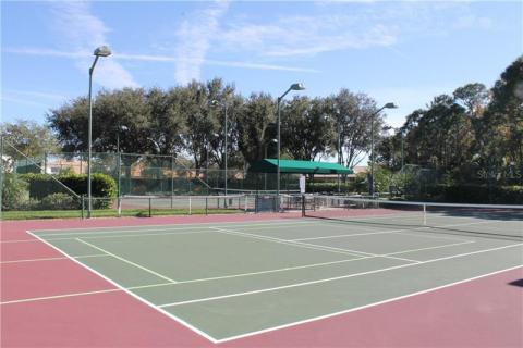 Tennis anyone??