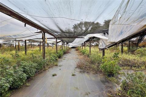 Listing picture 18