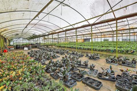 Listing picture 30