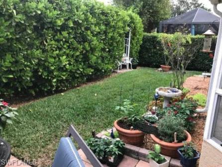 Additional Back Yard Privacy