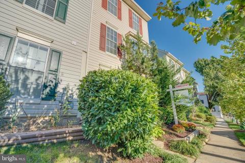 Listing picture 25