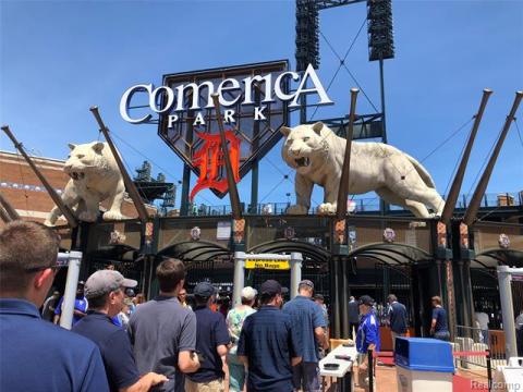 Tiger's Baseball