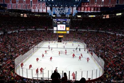 Redwings Hockey