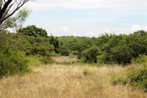 Listing picture 17
