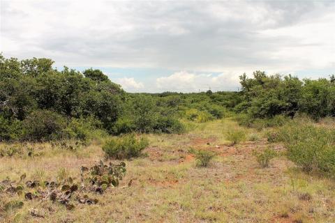 Listing picture 19