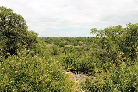 Listing picture 20