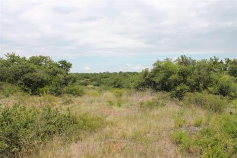 Listing picture 21