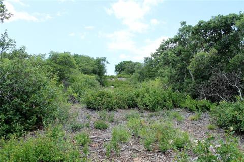 Listing picture 10